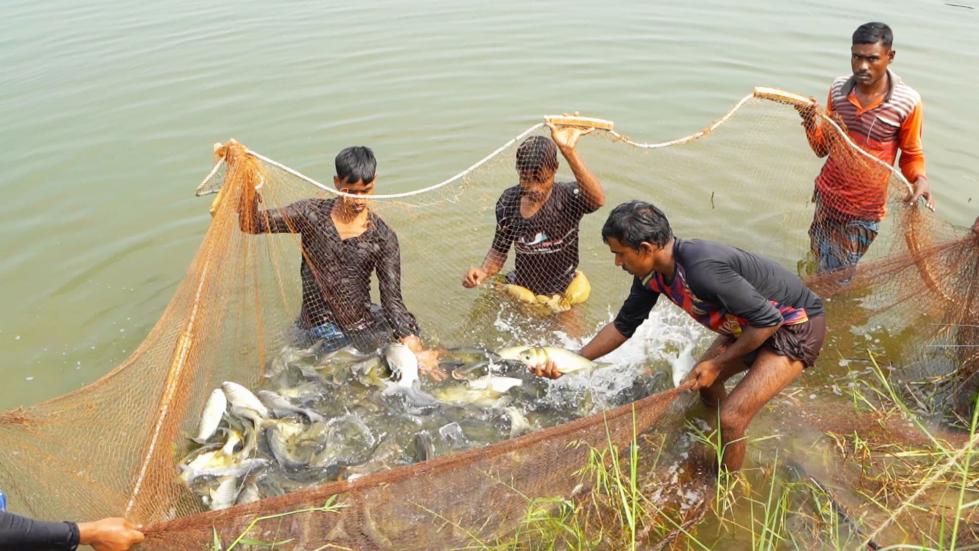 Fisheries & Aquaculture image 1
