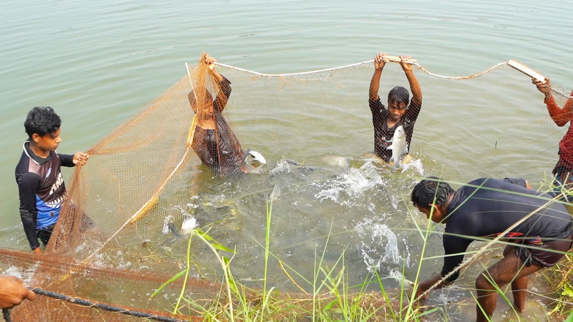 Fisheries & Aquaculture image 2