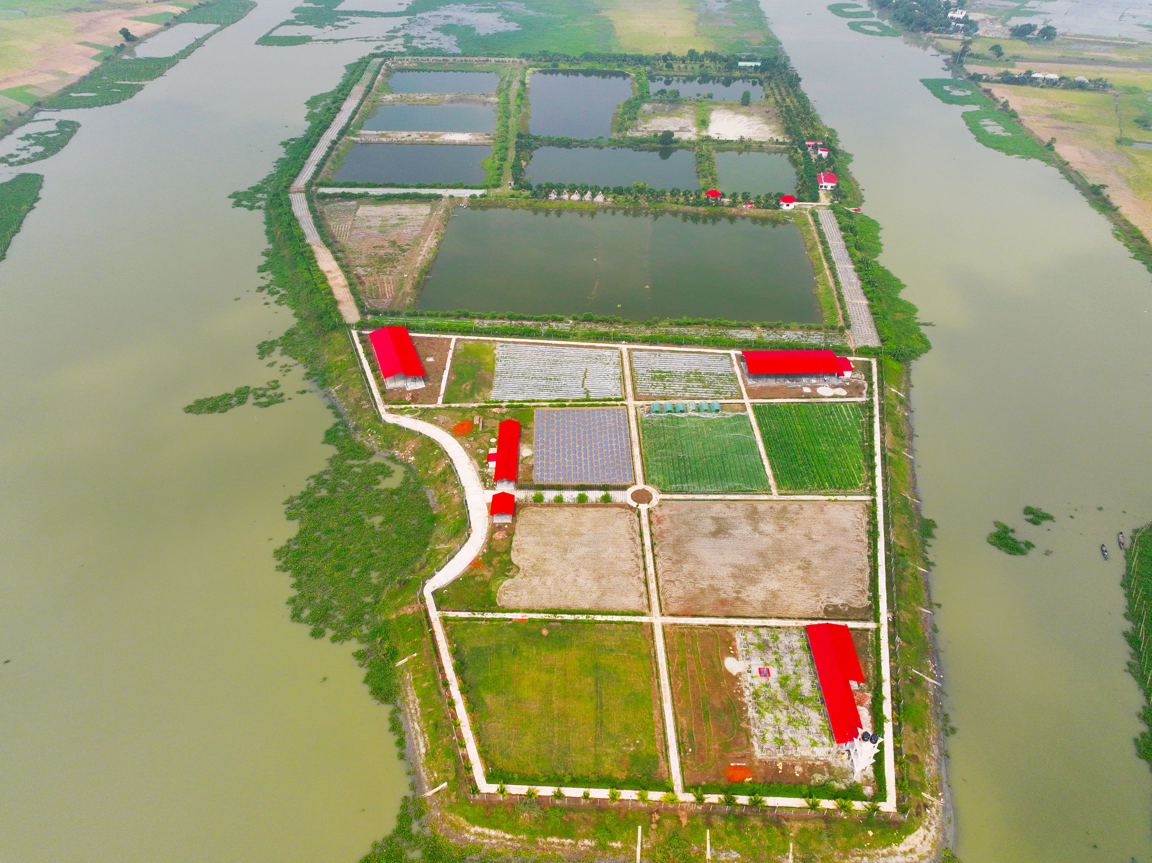 Pranto Agro Farm View