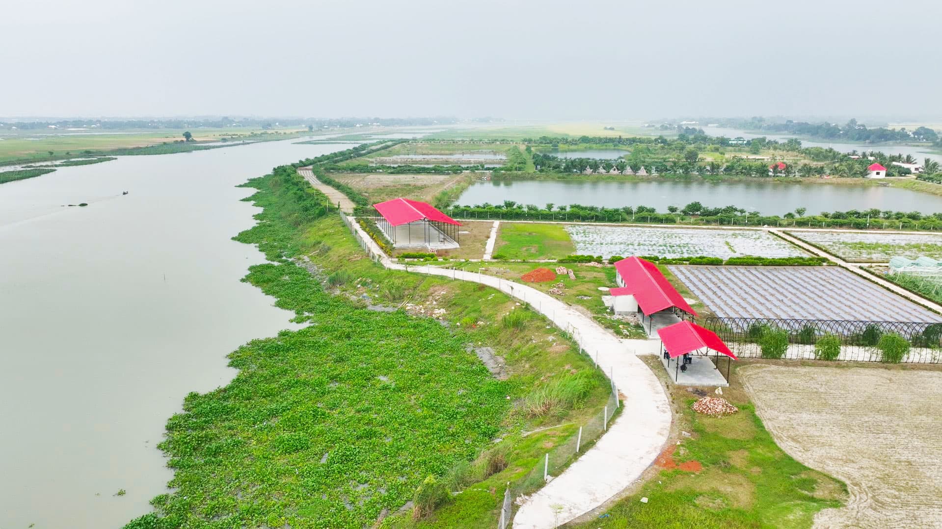 Environment & Sustainability: How Pranto Agro Protects Nature